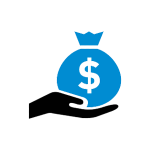 Nonprofit Budget Planning Icon