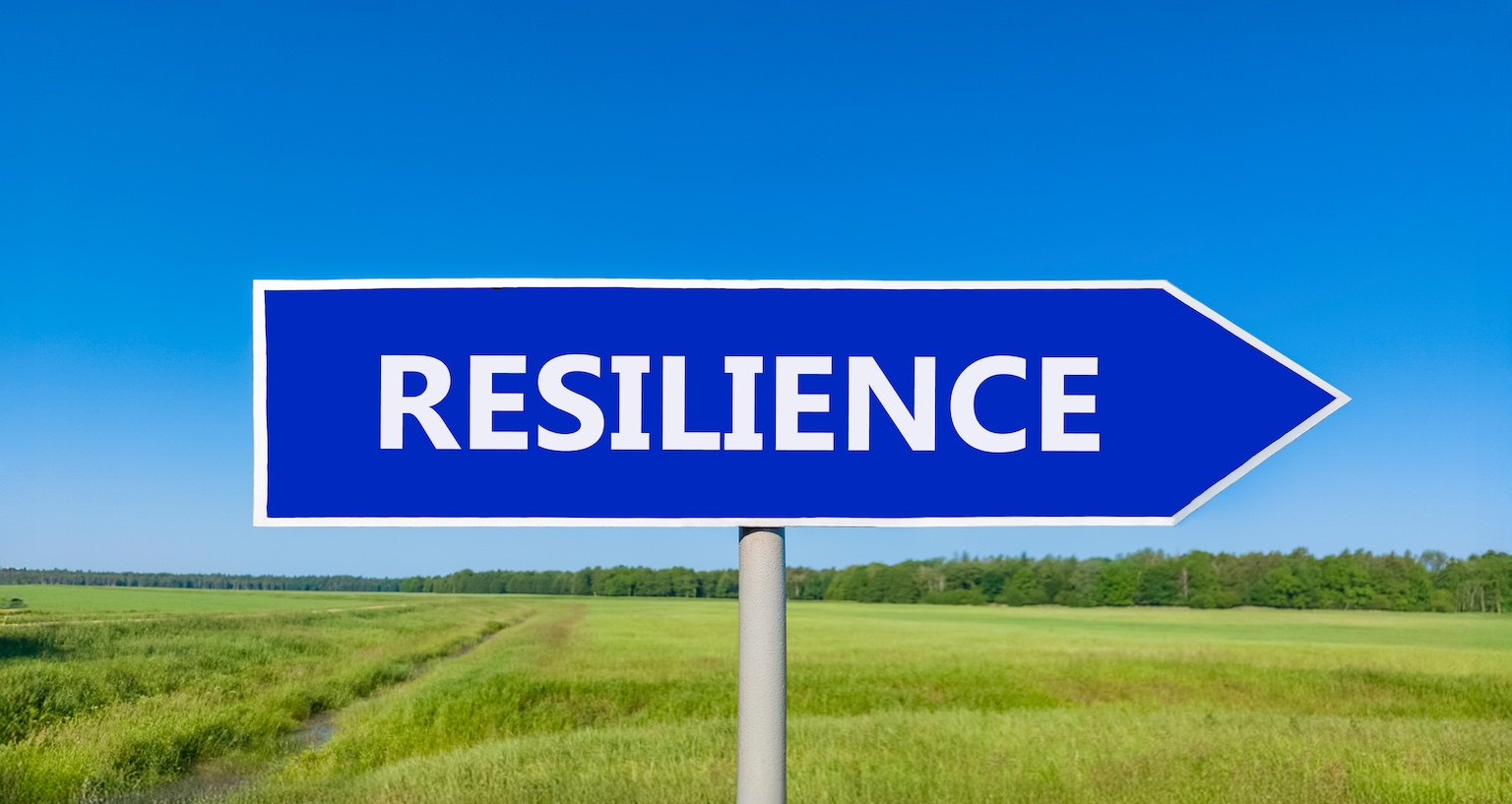 Blue road sign with the word Resilience symbolizing secure and scalable business IT support by Mentis Group